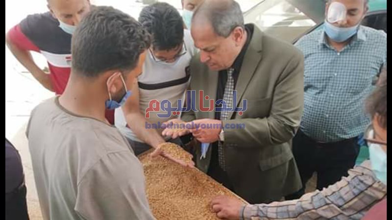 بلدنا اليوم