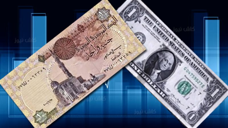 الدولار