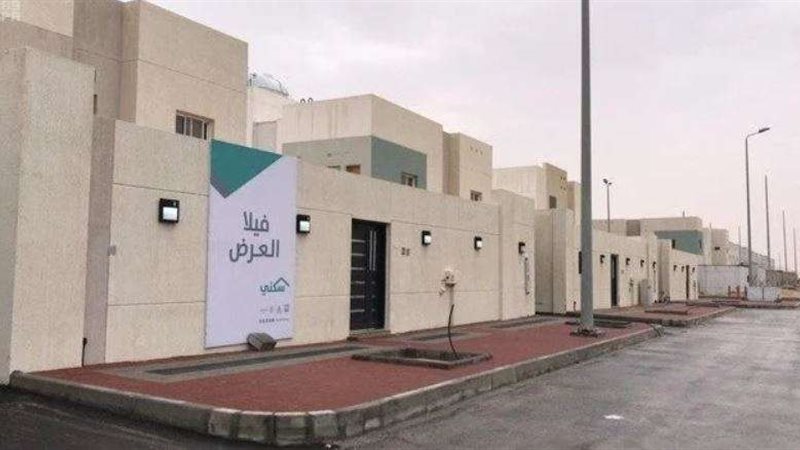 الإسكان التنموي