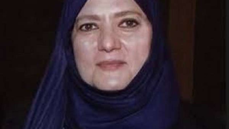 شمس البارودي