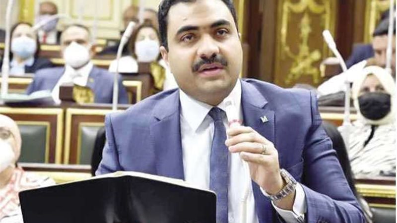 محمود قاسم عضو مجلس