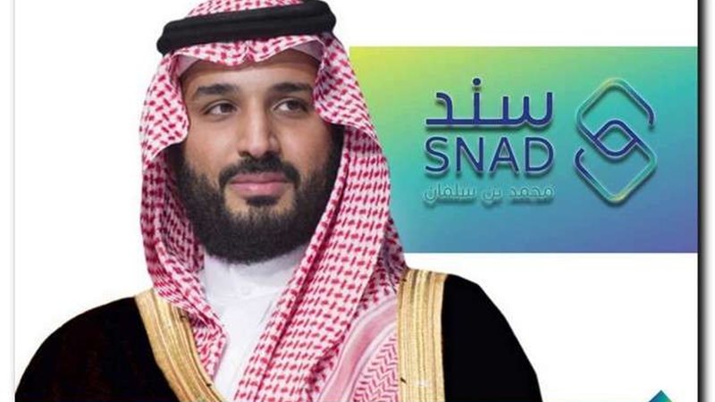 مساعدات سند محمد