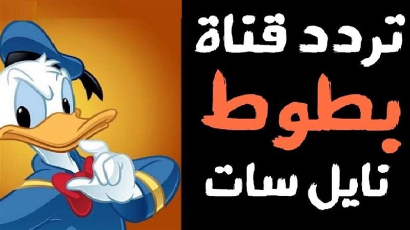 قناة بطوط كيدز
