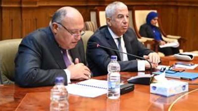 سامح شكري وزير الخارجية