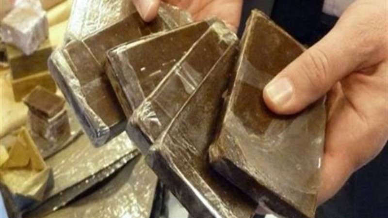 طرب حشيش