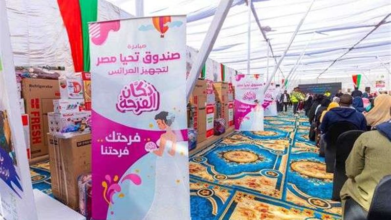 صندوق تحيا مصر
