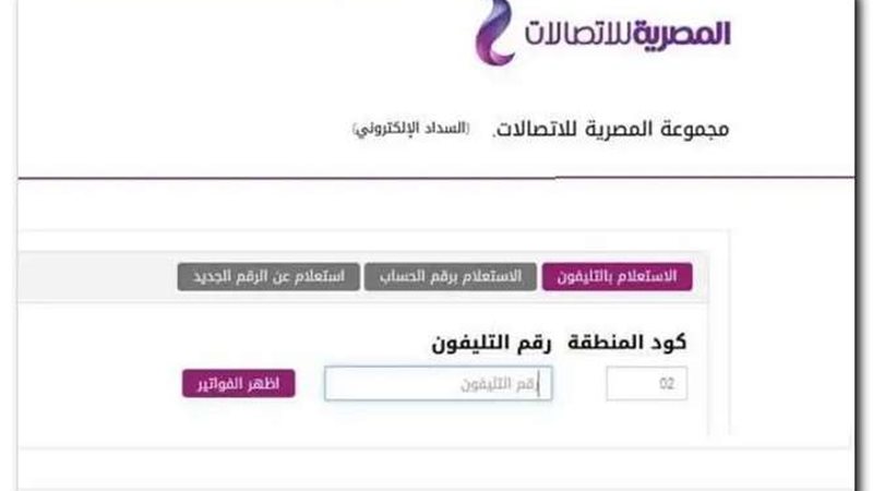 الاستعلام عن فاتورة