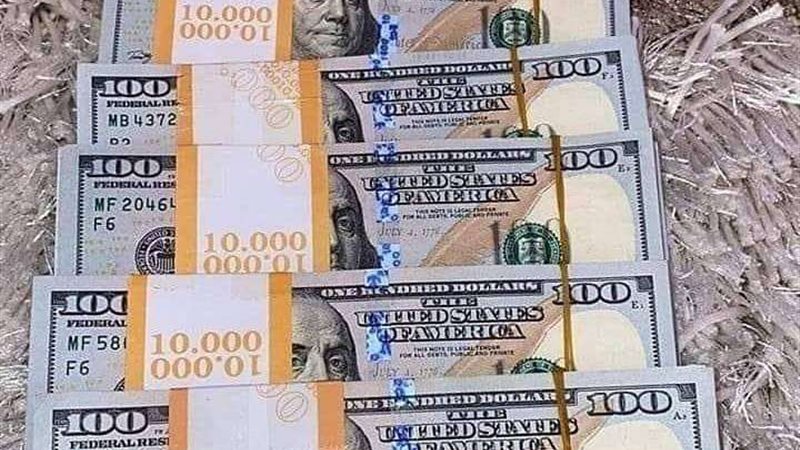 سعر الدولار اليوم