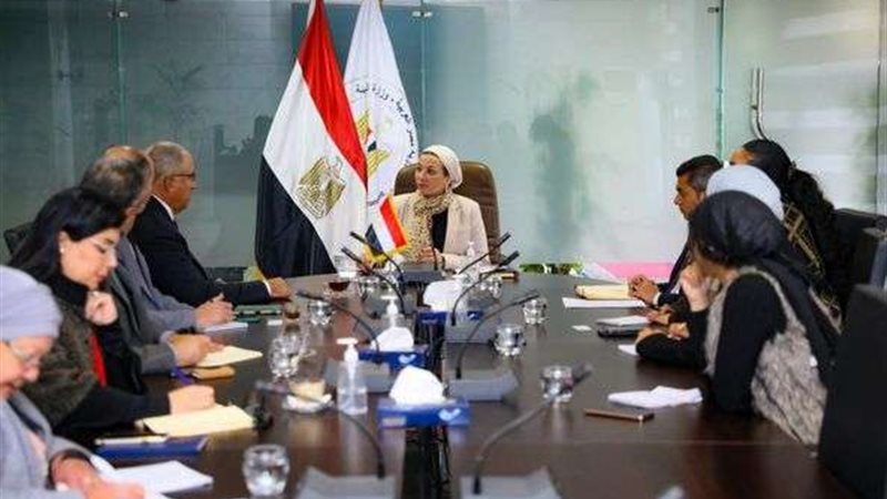 ياسمين فؤاد وزيرة