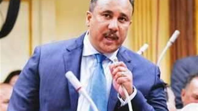 النائب وليد فرعون