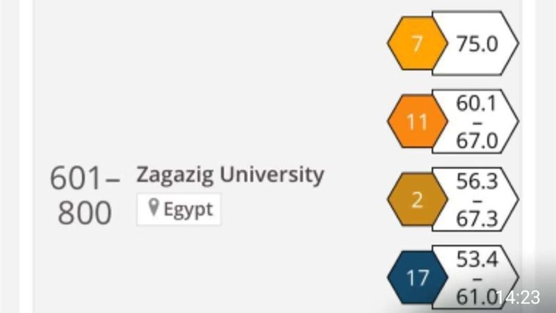 جامعه الزقازيق