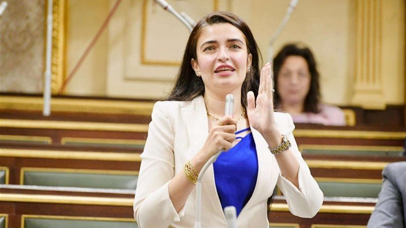 النائبة إيرين سعيد