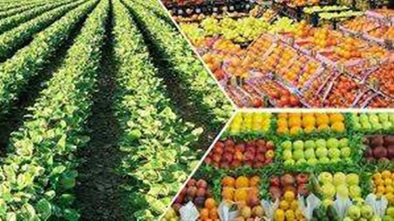مشروعات التطور الزراعي
