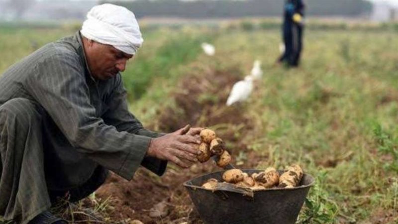 طلبات فلاحين مصر