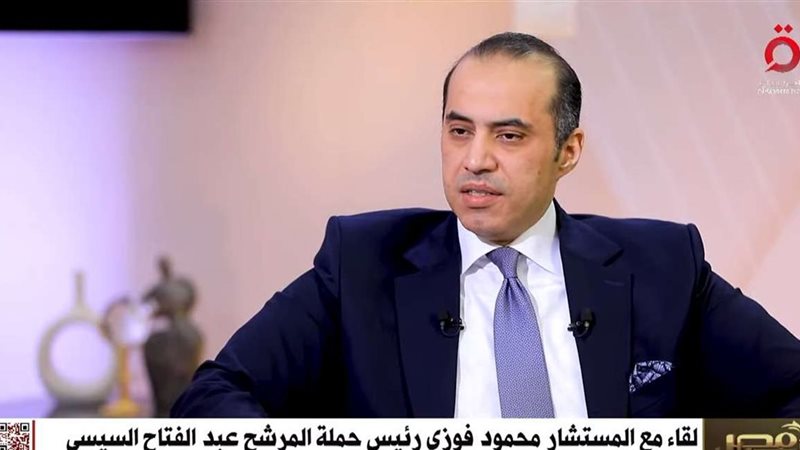 المستشار محمود فوزي