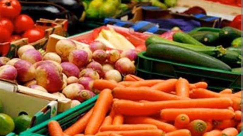 ارتفاع الصادرات الزراعية