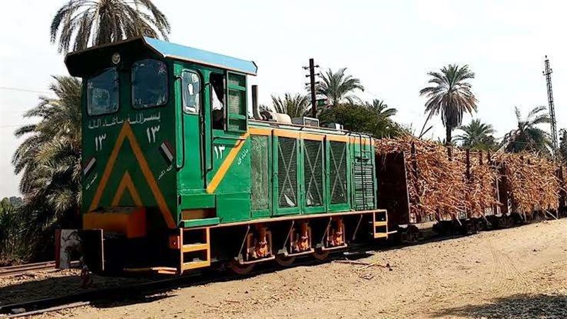 قطار قصب
