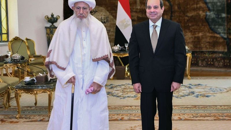 الرئيس السيسي يستقبل