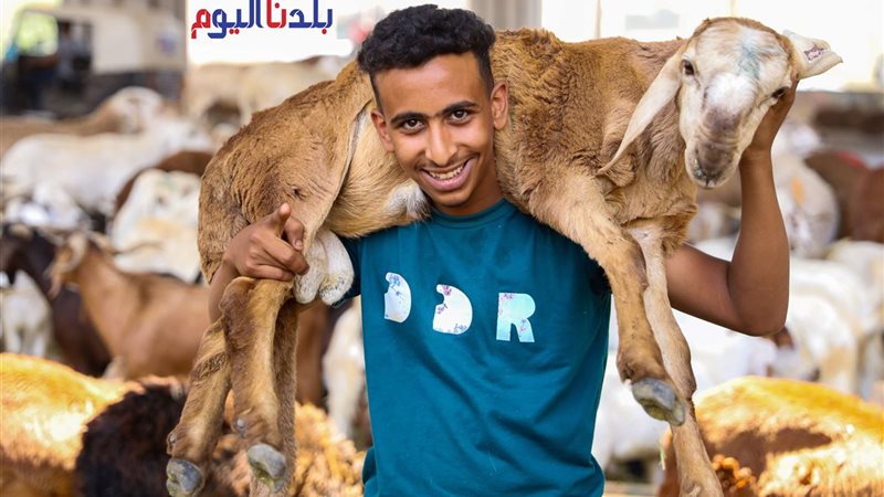 تصوير معاذ النجار
