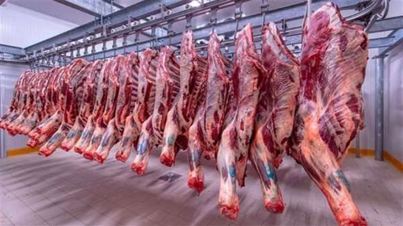 توزيع 20 طن لحوم