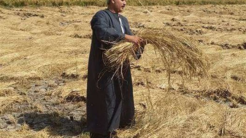 نقيب الفلاحين حسين