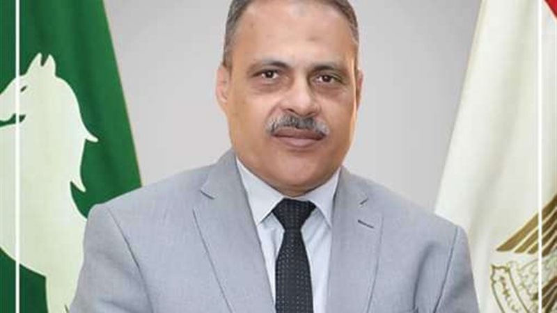 محافظ الشرقية