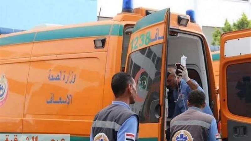 أرشيفيه