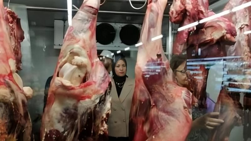 نشرة بلدنا اليوم