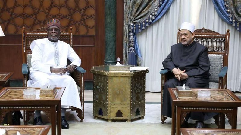 شيخ الأزهر ووزير