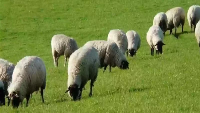 التسجيل لبرنامج دعم