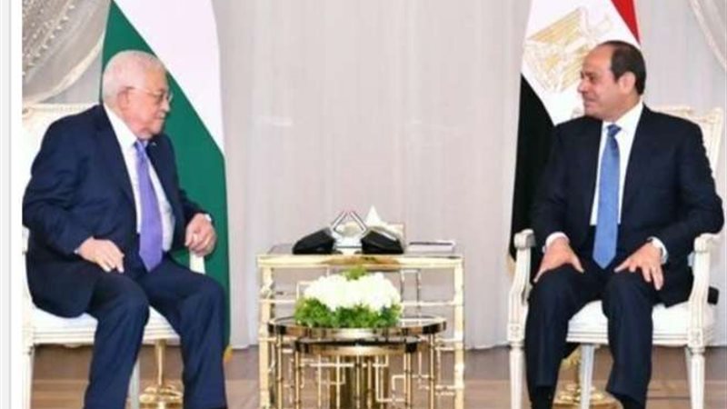 الرئيس السيسى ونظيره
