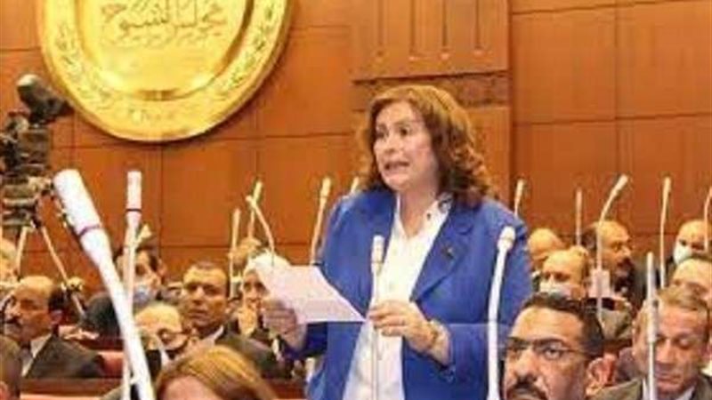 النائب عايدة نصيف