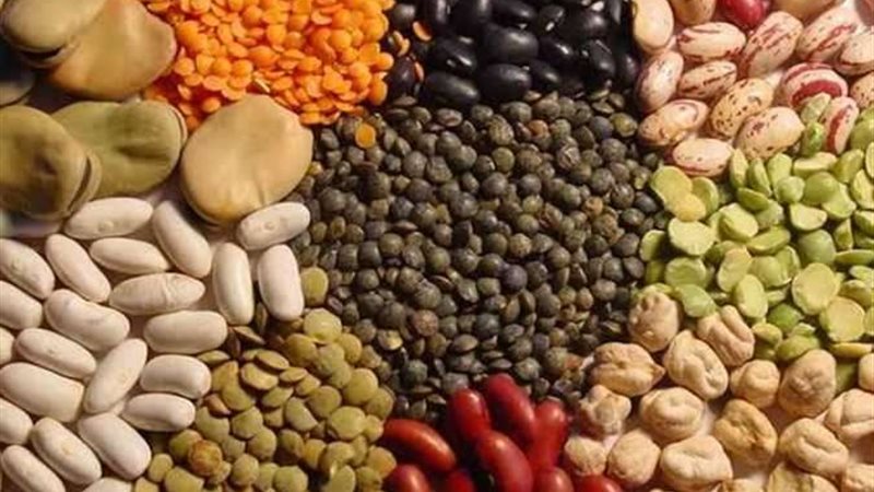 أسعار البقوليات اليوم