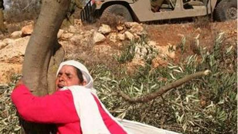 فلسطين