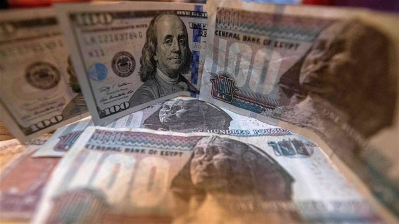 سعر الدولار في مصر