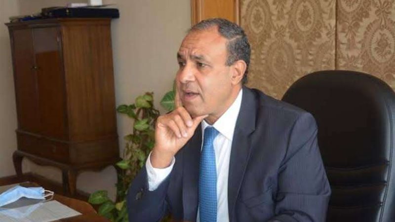 بدر عبدالعاطي