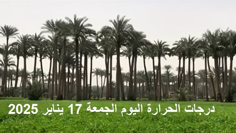 درجات الحرارة اليوم