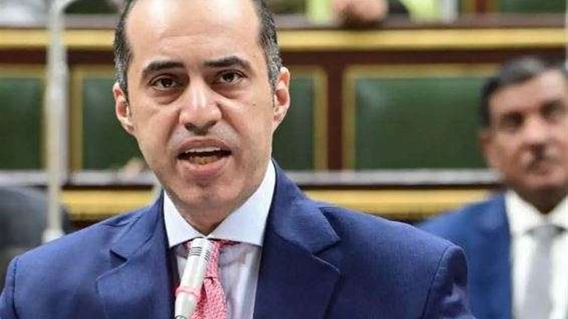 المستشار محمود فوزي