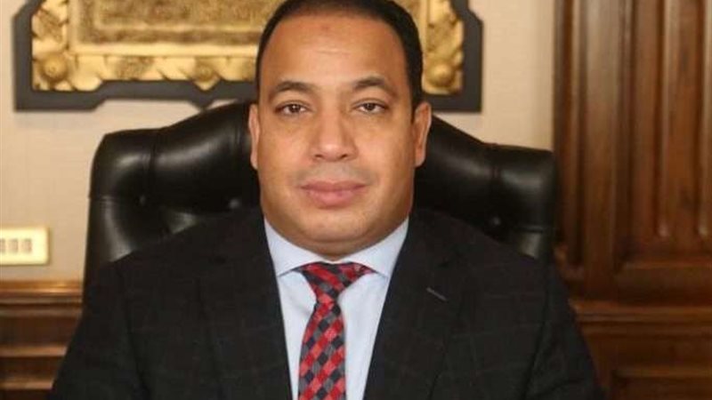 د. عبد المنعم السيد
