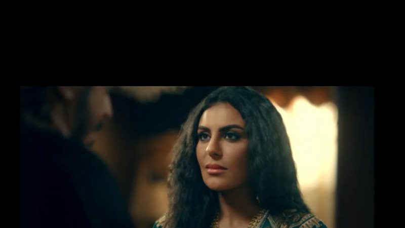 مسلسل حكيم باشا