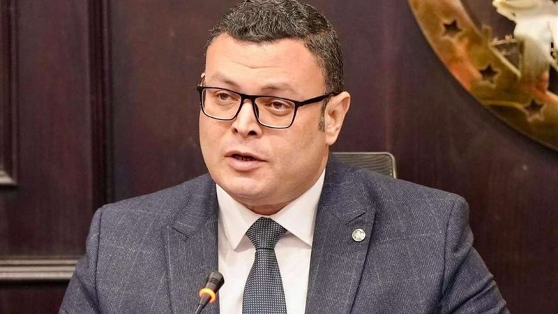 المهندس شريف الشربيني