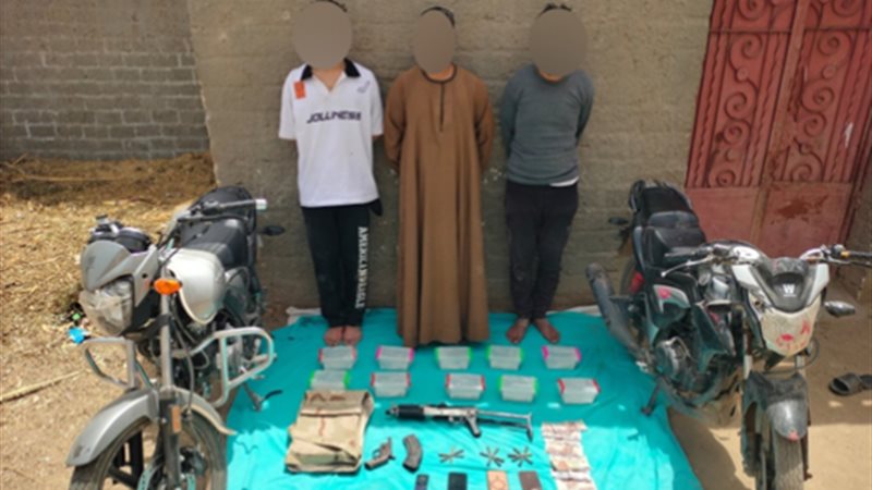 العناصر الإجرامية