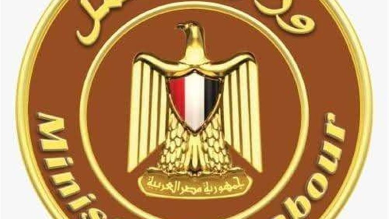 وزارة العمل