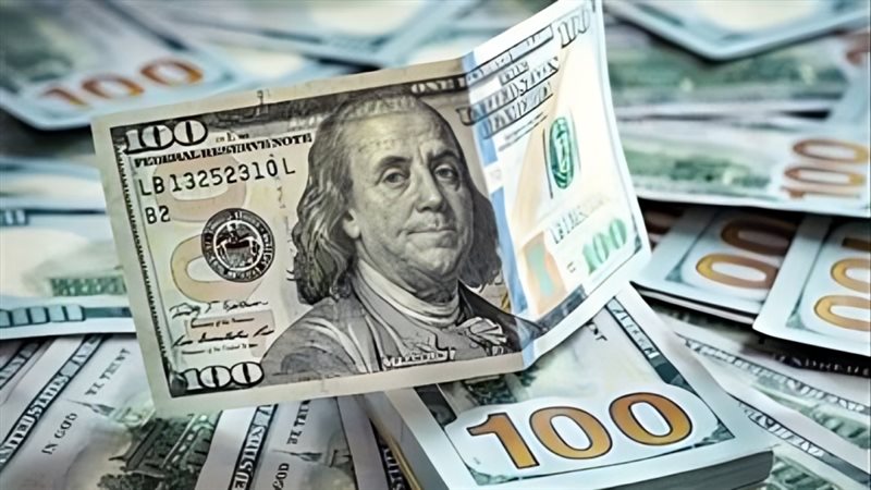 سعر الدولار