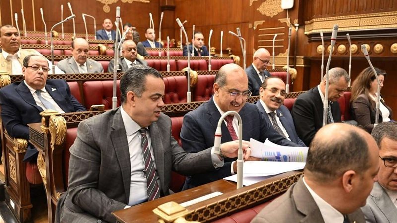 مجلس الشيوخ