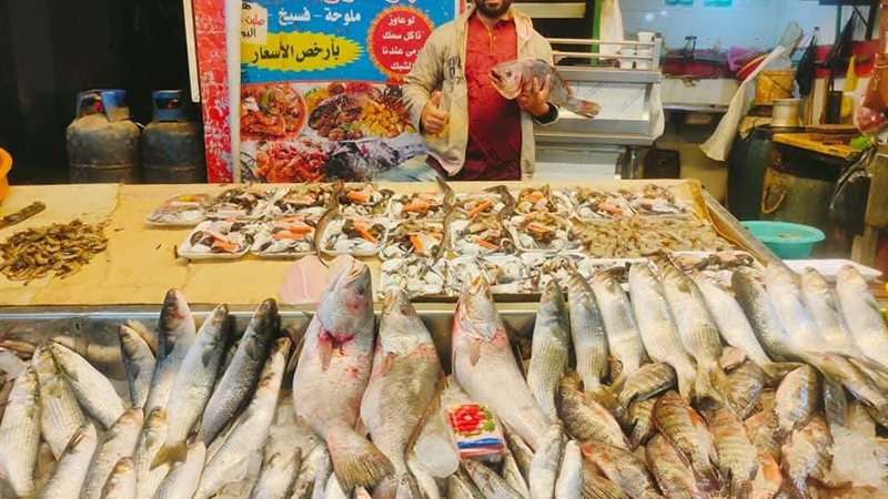 أسعار الأسماك