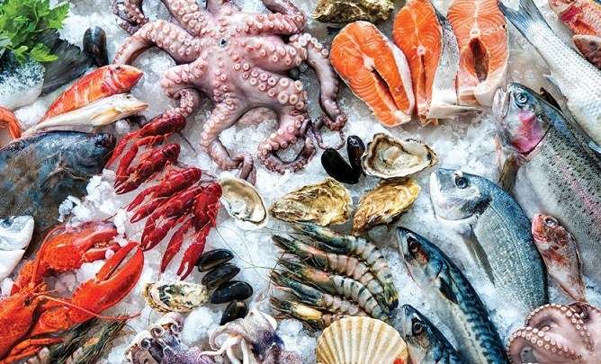 أسعار السمك اليوم الجمعة 16 سبتمبر 2022 في السوق المصري | بلدنا اليوم